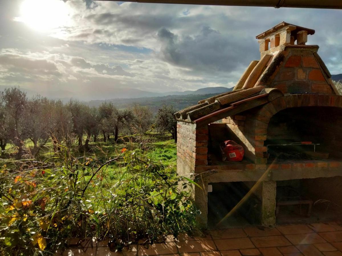 Bed and Breakfast Casale Del Tempo Lento Нарни Экстерьер фото